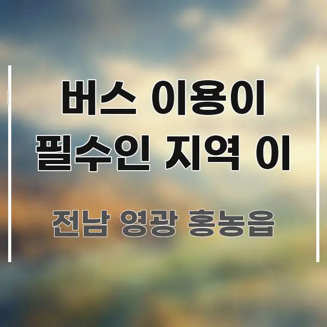 버스 이용이 필수인 지역 이 가독성 높게 정리한 블로그 섹션 구분 이미지 - 내용 요약을 위한 이미지
