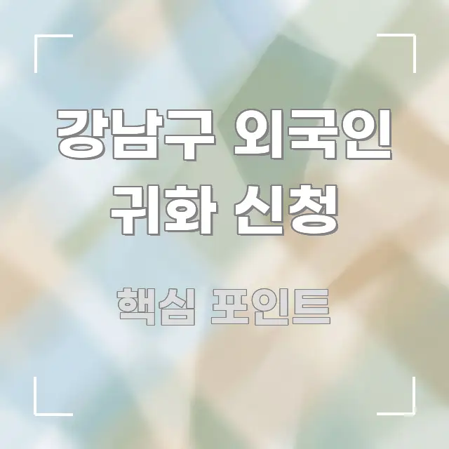 강남구 외국인 귀화 신청 이해하기 쉬운 가독성 높은 정보 이미지 - 글 흐름을 돕는 시각 자료