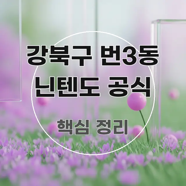 강북구 번3동 닌텐도 공식 쉽게 읽히는 핵심 키워드 시각화 이미지