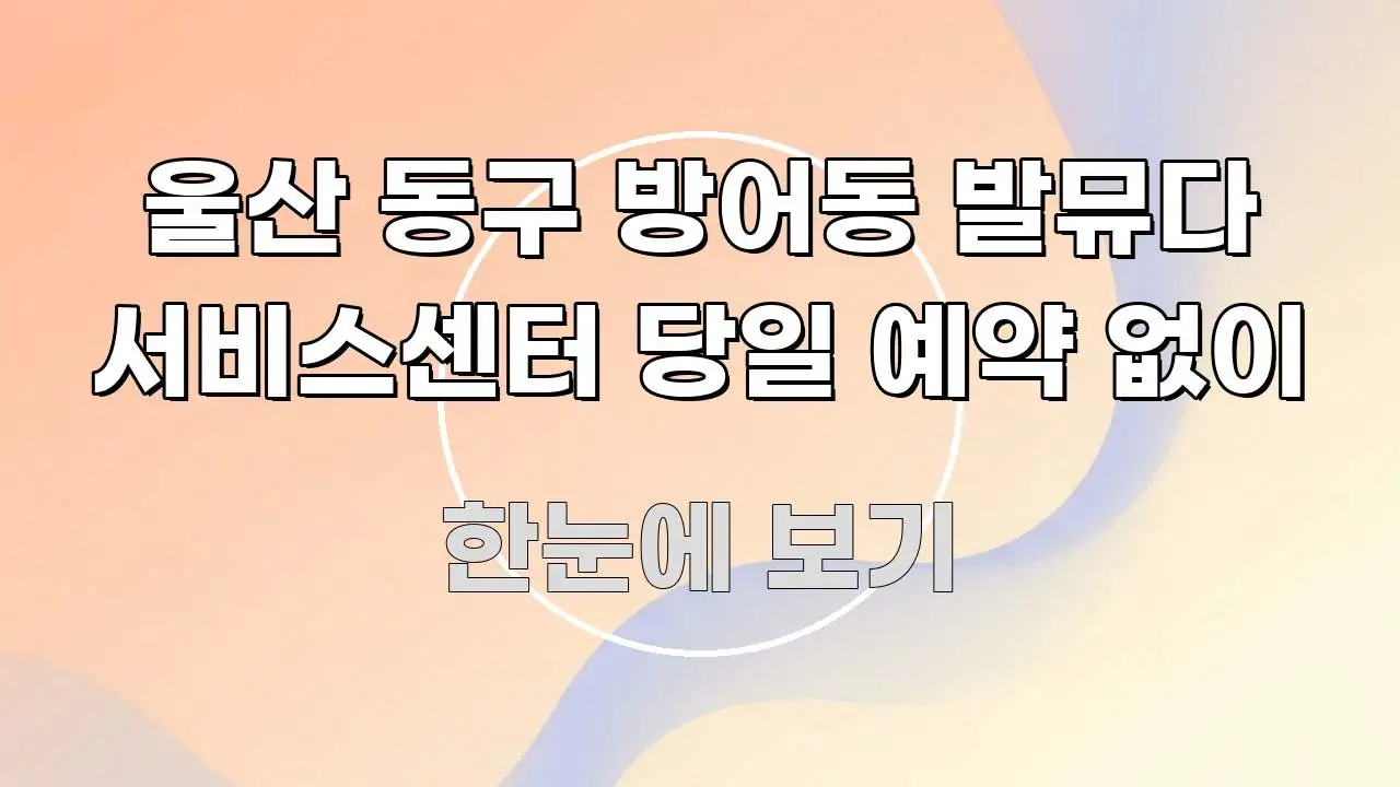 울산 동구 방어동 발뮤다 서비스센터 당일 예약 없이 실용적으로 정리한 가독성 높은 정보 이미지 - 참고용 이미지