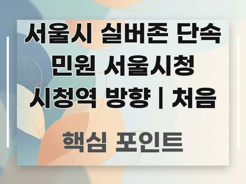 서울시 실버존 단속 민원 서울시청 시청역 방향 | 처음 신뢰할 수 있는 정보를 담은 블로그 헤더 이미지 - 글 흐름을 돕는 시각 자료