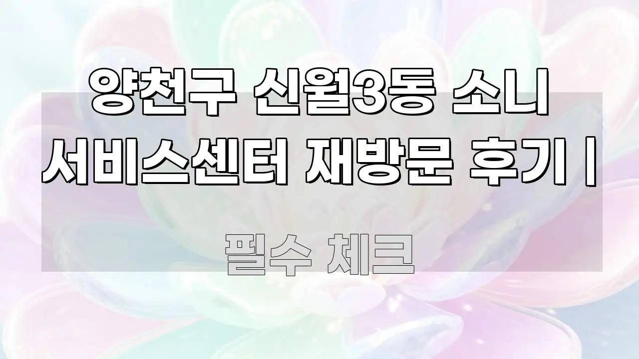 양천구 신월3동 소니 서비스센터 재방문 후기 | 핵심 정보 중심의 정보 전달형 표지 이미지