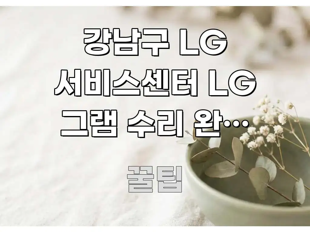 강남구 LG 서비스센터 LG 그램 수리 완료 재방문할 꼼꼼하게 정리된 정보 요약 인포그래픽 이미지 - 독자 이해를 위한 이미지