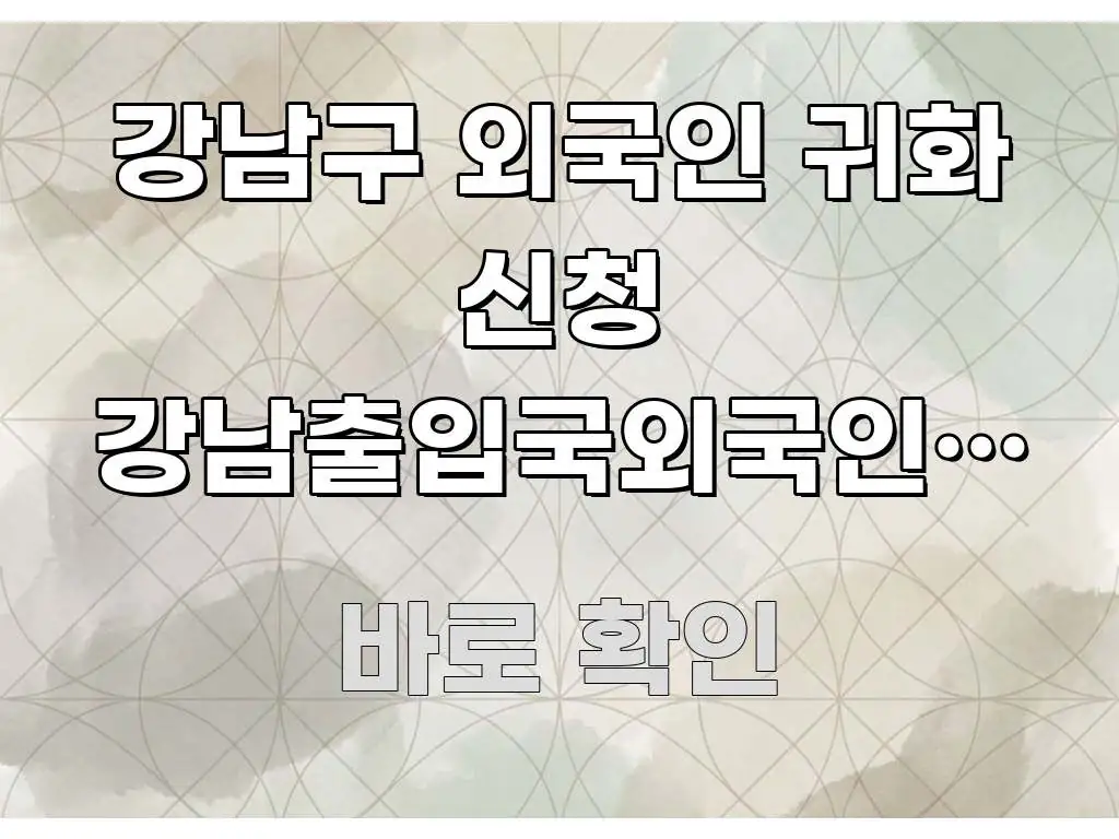 강남구 외국인 귀화 신청 강남출입국외국인청 방향 | 한눈에 보기 좋게 요약한 정보 요약 인포그래픽 이미지 - 활용 예시 이미지