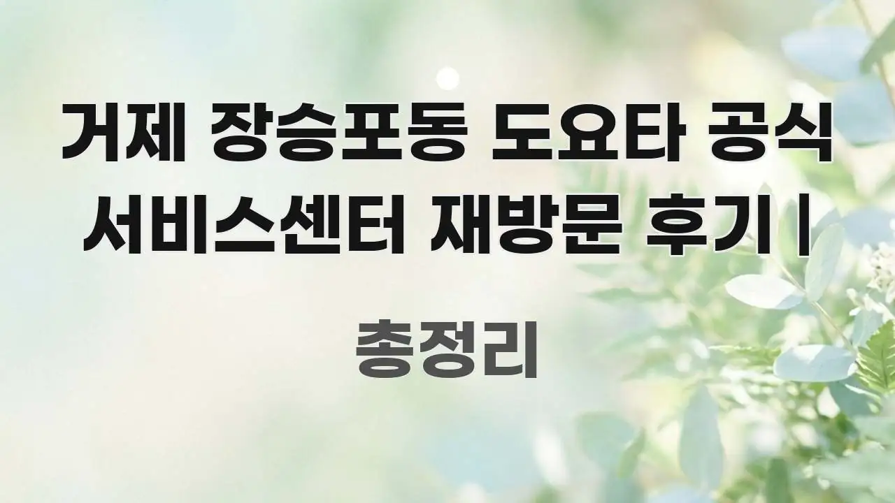 거제 장승포동 도요타 공식 서비스센터 재방문 후기 | 검증된 정보로 구성된 글 소개 썸네일 이미지 - 설명을 돕는 이미지