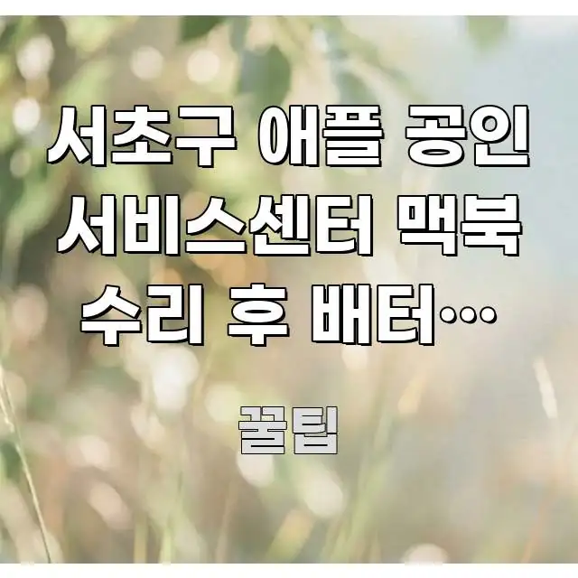 서초구 애플 공인 서비스센터 맥북 수리 후 배터리 오래 검증된 정보로 구성된 핵심 요약 디자인 카드 - 본문 내용과 연관된 이미지