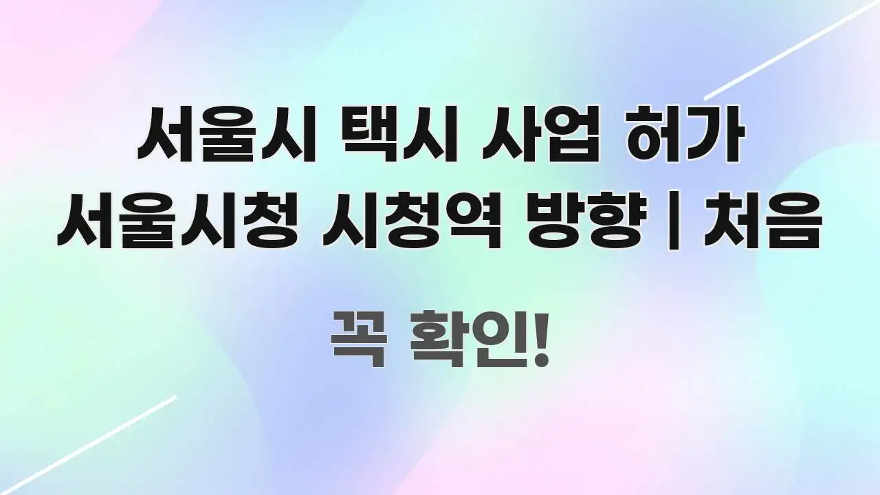 서울시 택시 사업 허가 서울시청 시청역 방향 | 처음 주요 포인트를 요약한 텍스트 기반 블로그 이미지 - 설명을 돕는 이미지