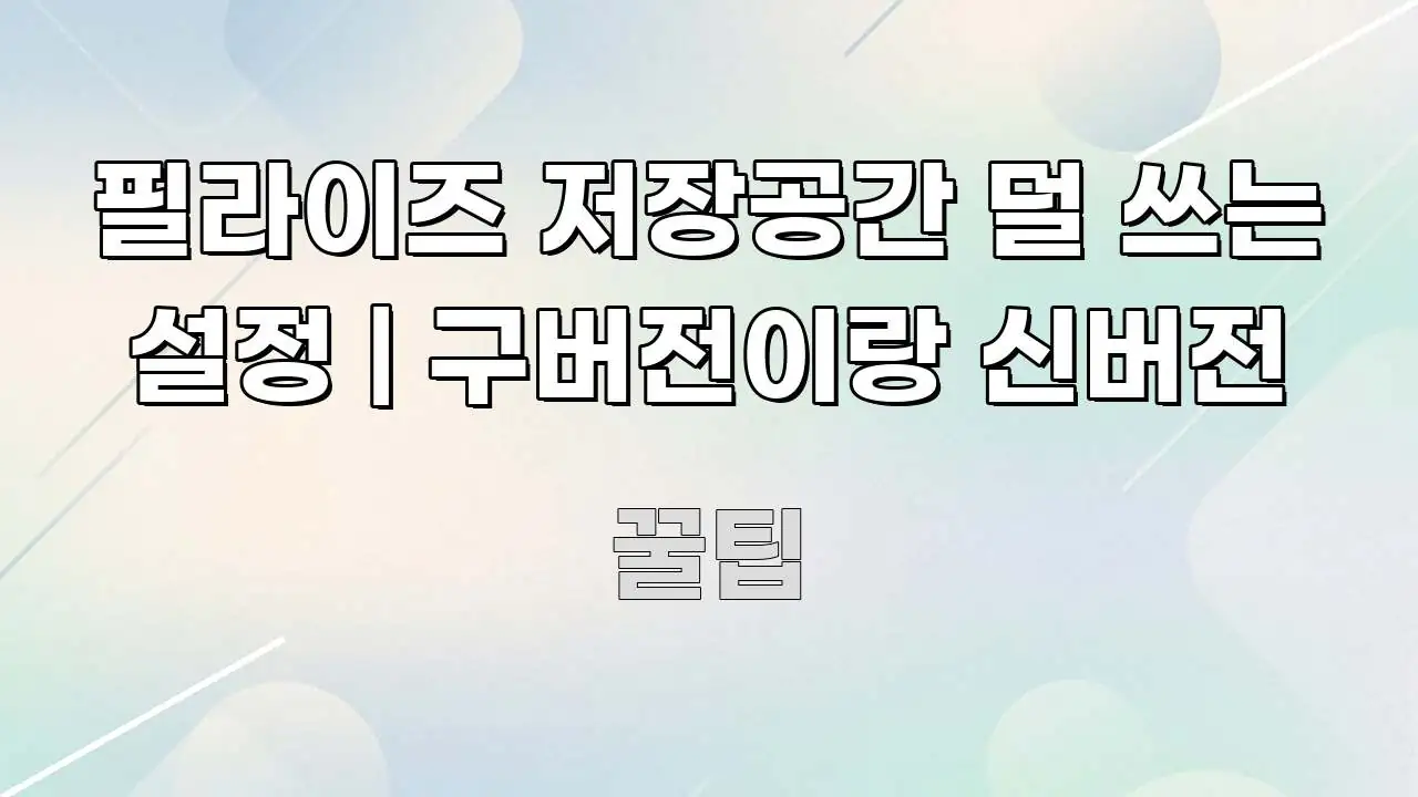 필라이즈 저장공간 덜 쓰는 설정 | 구버전이랑 신버전 흥미롭게 구성한 블로그 헤더 이미지