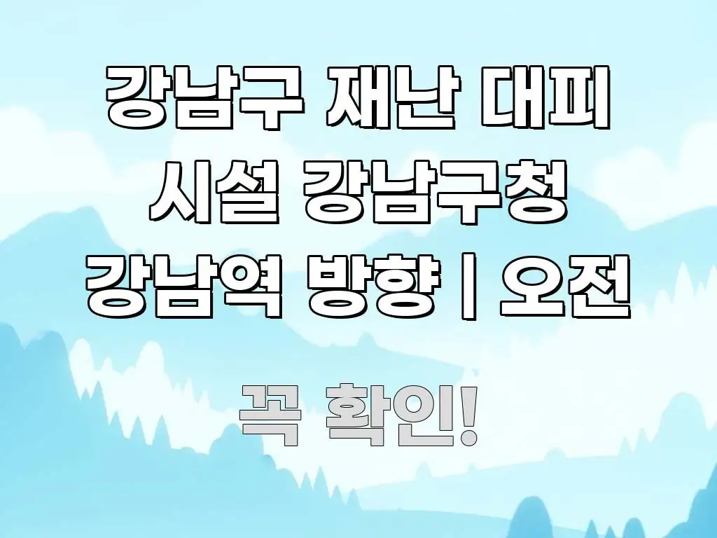 강남구 재난 대피 시설 강남구청 강남역 방향 | 오전 직관적으로 이해되는 정보 요약 인포그래픽 이미지 - 활용 예시 이미지