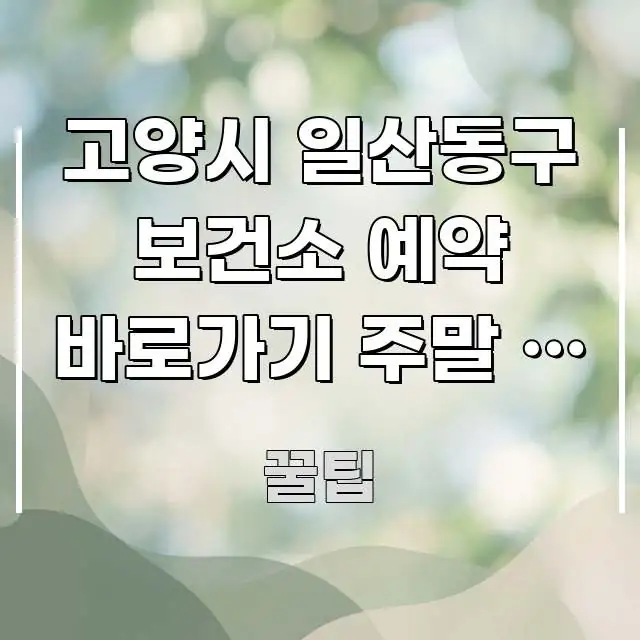 고양시 일산동구 보건소 예약 바로가기 주말 | 일산동구 핵심 정보 중심의 모던 카드뉴스 디자인