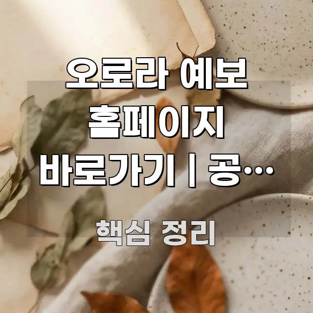 오로라 예보 홈페이지 바로가기 | 공식 주소 이게 시선을 사로잡는 블로그 대표 이미지