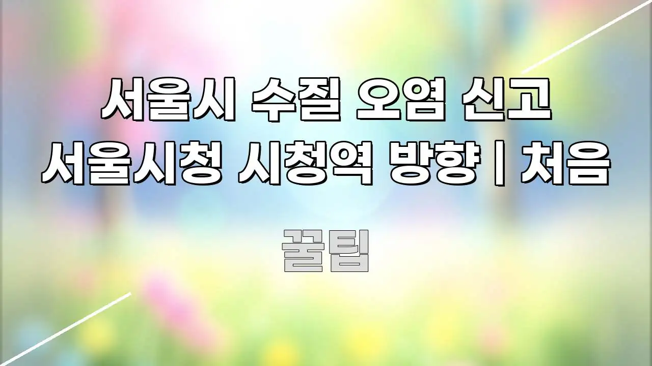서울시 수질 오염 신고 서울시청 시청역 방향 | 처음 한 번에 이해되는 정보 요약 포스터 - 내용 요약을 위한 이미지