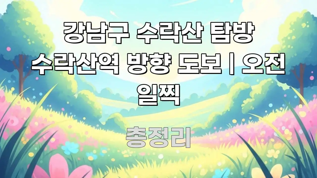 강남구 수락산 탐방 수락산역 방향 도보 | 오전 일찍 가독성 높게 정리한 정보 요약 포스터 - 글 흐름을 돕는 시각 자료