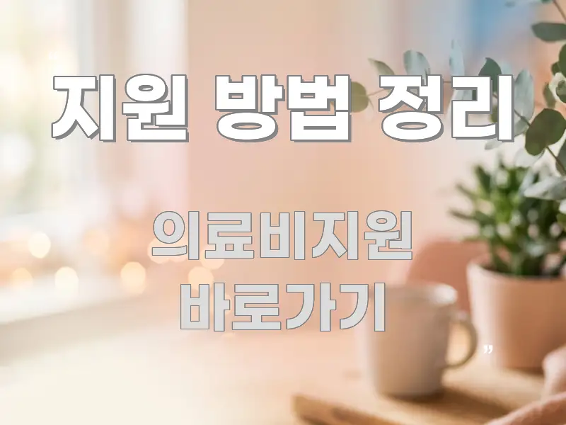 지원 방법 정리 전문적으로 분석한 핵심 정보 비주얼 - 활용 예시 이미지