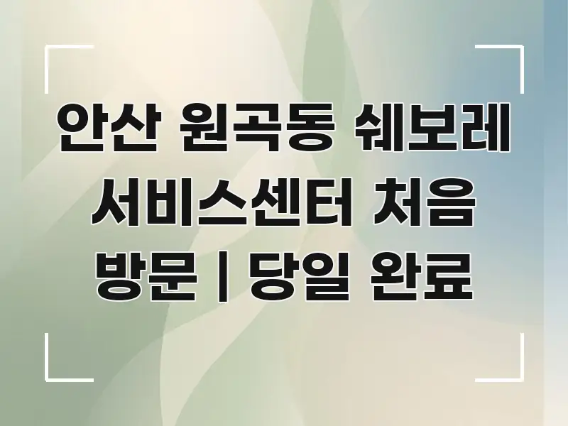 안산 원곡동 쉐보레 서비스센터 처음 방문 | 당일 완료 검증된 정보로 구성된 텍스트 기반 블로그 이미지 - 본문 내용과 연관된 이미지