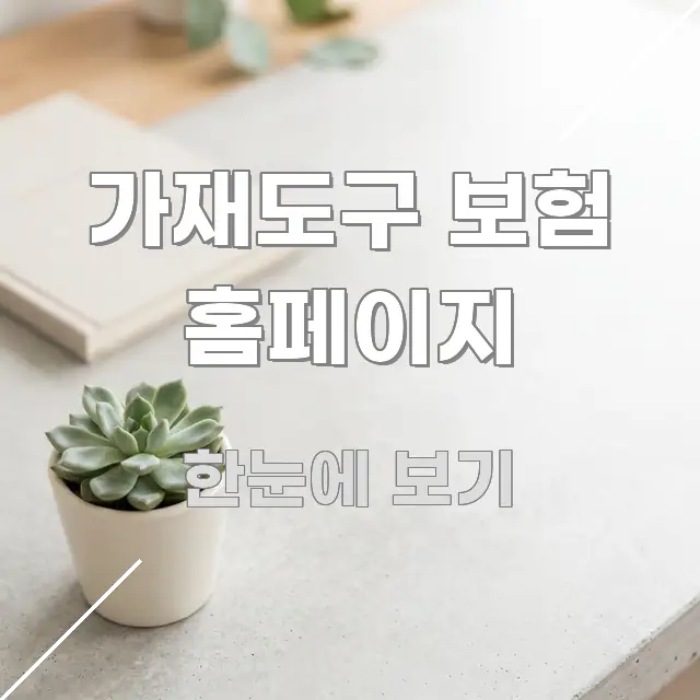 가재도구 보험 홈페이지 전문가가 선별한 정보 전달형 표지 이미지 - 내용 요약을 위한 이미지