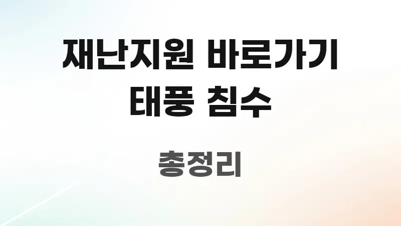 재난지원 바로가기 태풍 침수 요점만 뽑아낸 글 소개 썸네일 이미지 - 본문 내용과 연관된 이미지