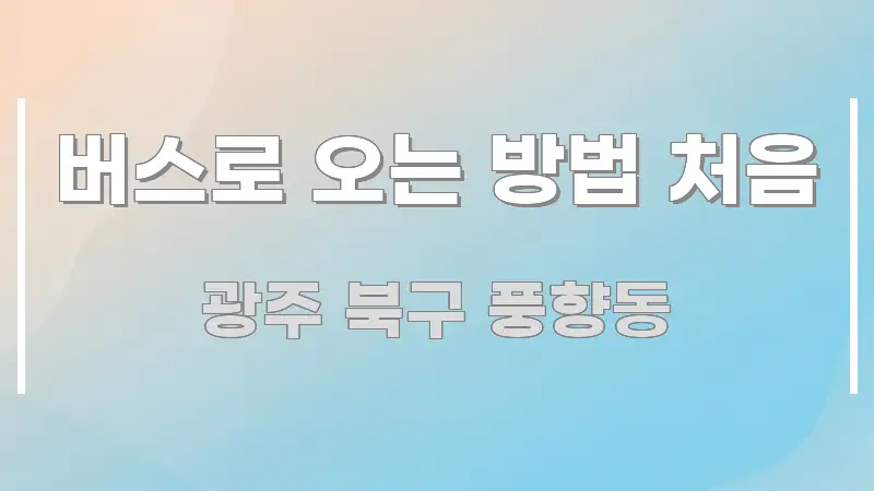 버스로 오는 방법 처음 전문적으로 분석한 포스트 대표 비주얼 이미지 - 활용 예시 이미지