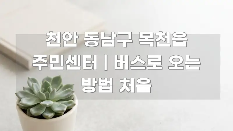 천안 동남구 목천읍 주민센터 | 버스로 오는 방법 처음 핵심 정보를 압축한 모던 카드뉴스 디자인 - 글 흐름을 돕는 시각 자료