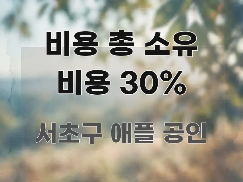 비용 총 소유 비용 30% 실용적으로 정리한 심플 타이포그래피 표지