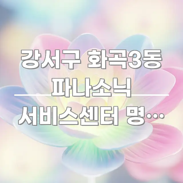 강서구 화곡3동 파나소닉 서비스센터 명절 연휴에 진짜 꼼꼼하게 정리된 텍스트 중심 디자인 표지 - 본문 내용과 연관된 이미지