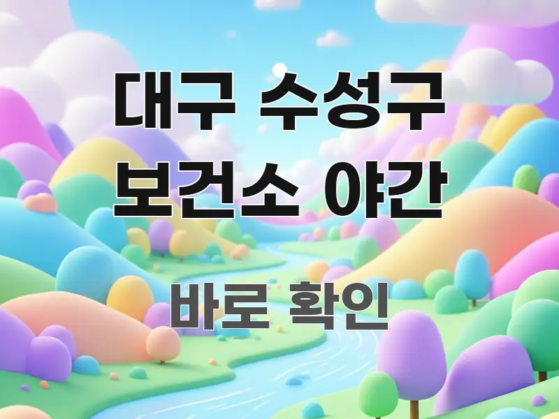 대구 수성구 보건소 야간 한눈에 들어오는 정보 요약 포스터 - 독자 이해를 위한 이미지