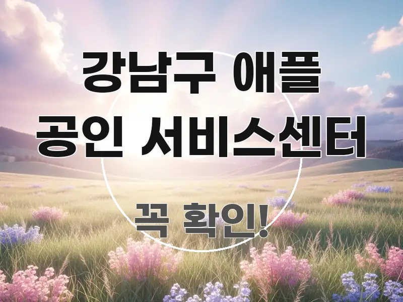 강남구 애플 공인 서비스센터 중요 내용만 뽑은 텍스트 포스터 이미지