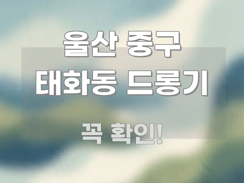 울산 중구 태화동 드롱기 요점만 뽑아낸 텍스트 중심 디자인 표지