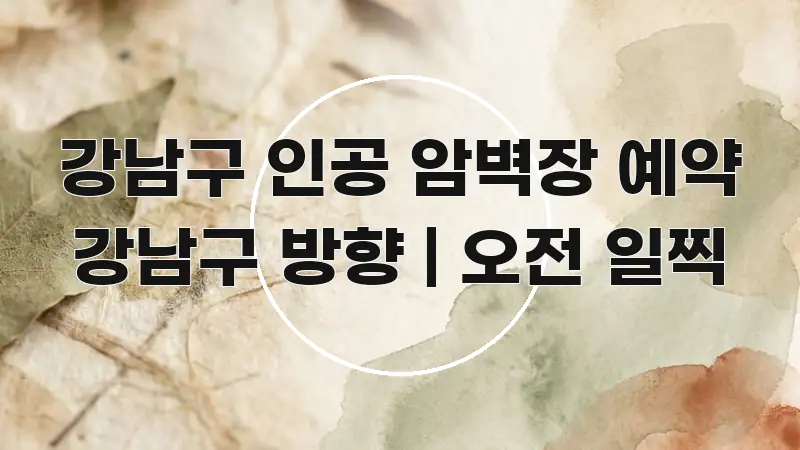 강남구 인공 암벽장 예약 강남구 방향 | 오전 일찍 핵심 정보 중심의 정보 카드 디자인 이미지 - 참고용 이미지