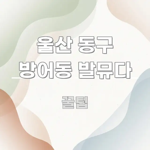 울산 동구 방어동 발뮤다 스마트하게 정리된 스마트 정보 카드