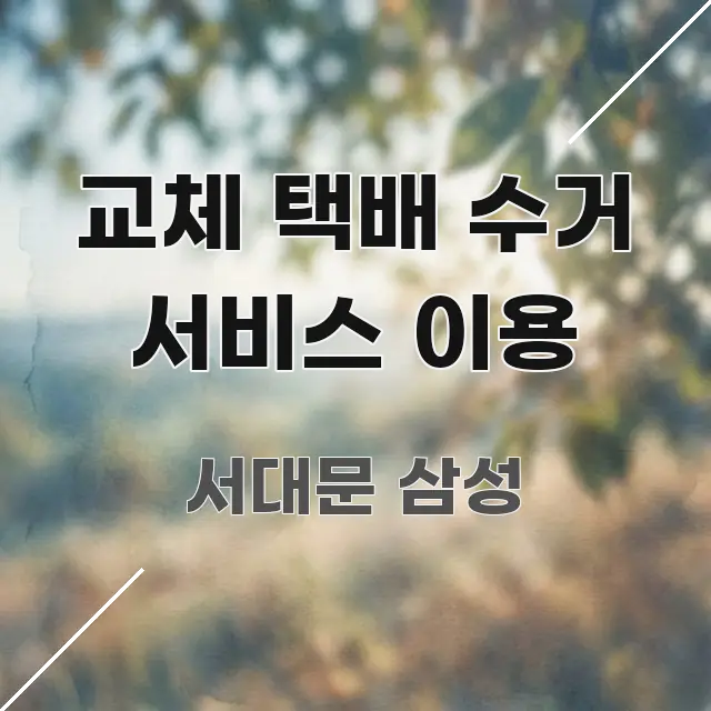 교체 택배 수거 서비스 이용 중요 내용만 뽑은 블로그 섹션 구분 이미지 - 참고용 이미지