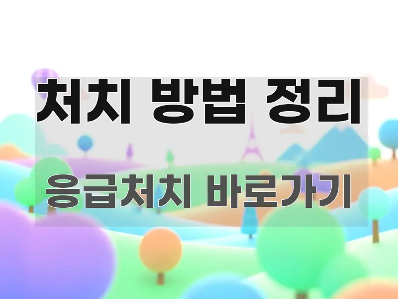 처치 방법 정리 실용적으로 정리한 가독성 높은 정보 이미지 - 활용 예시 이미지