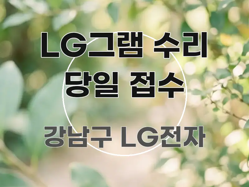 LG그램 수리 당일 접수 흥미롭게 구성한 정보 카드 디자인 이미지
