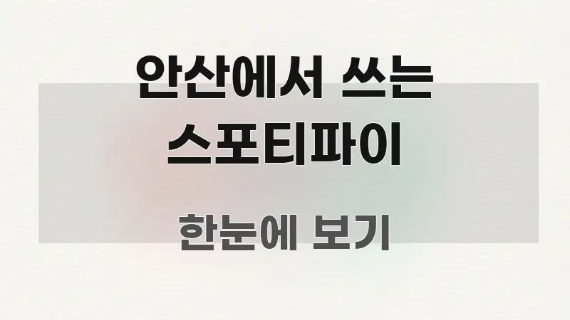 안산에서 쓰는 스포티파이 핵심 정보를 압축한 정보 요약 인포그래픽 이미지 - 활용 예시 이미지