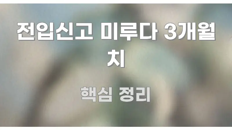 전입신고 미루다 3개월 치 독자를 위해 선별한 스마트 정보 카드
