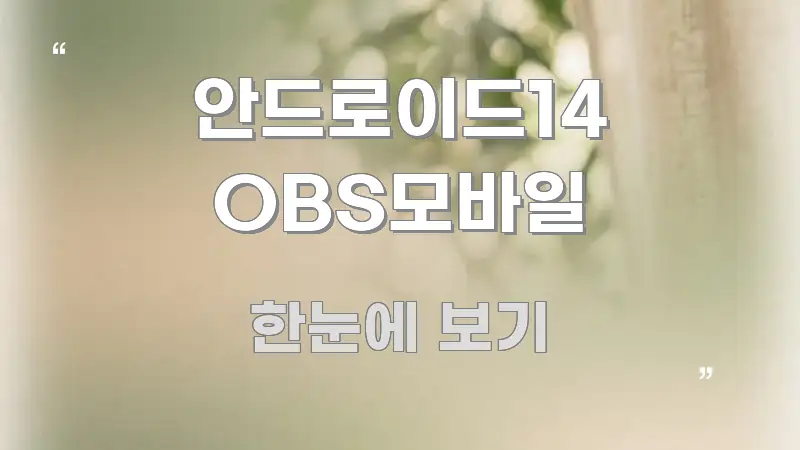 안드로이드14 OBS모바일 깔끔하게 정리된 정보 카드 디자인 이미지