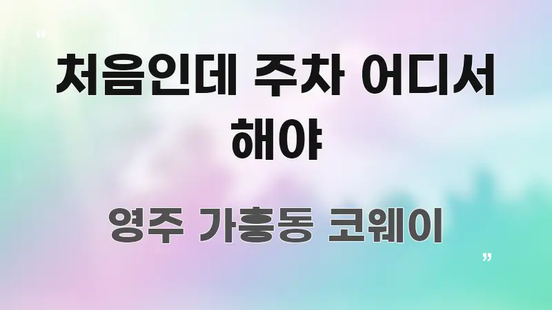 처음인데 주차 어디서 해야 한눈에 들어오는 정보 요약 포스터 - 내용 요약을 위한 이미지
