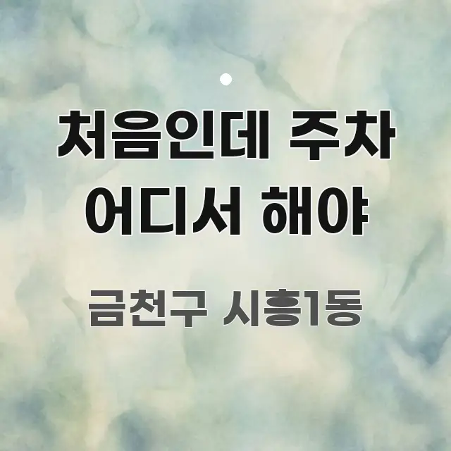 처음인데 주차 어디서 해야 흐름을 잡아주는 텍스트 포스터 이미지