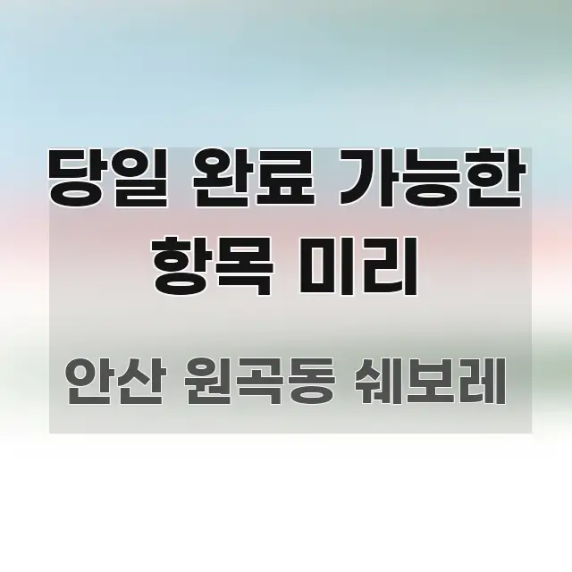 당일 완료 가능한 항목 미리 검증된 정보로 구성된 텍스트 포스터 이미지 - 가독성을 높이는 이미지