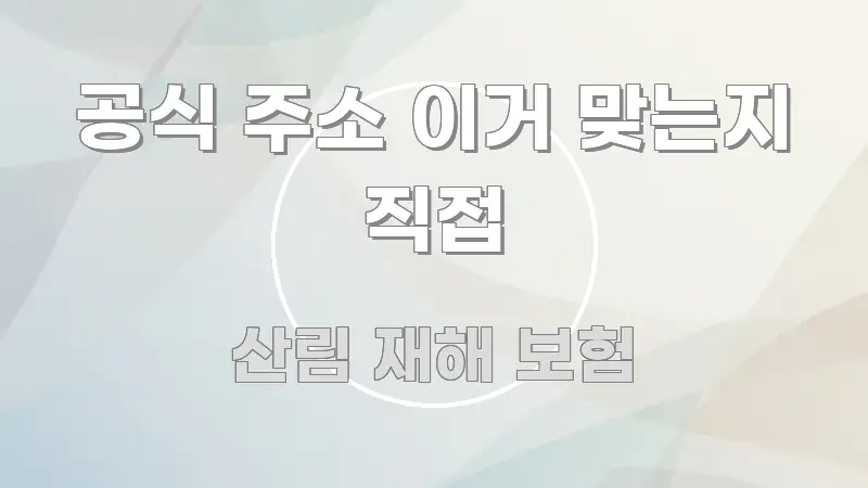 공식 주소 이거 맞는지 직접 깔끔하게 정리된 정보 요약 포스터 - 설명을 돕는 이미지