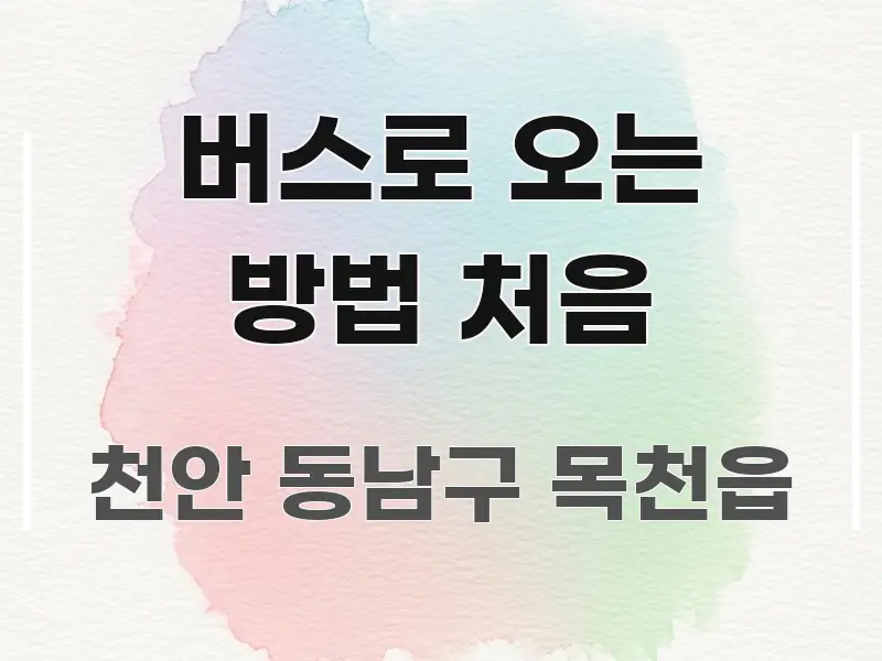 버스로 오는 방법 처음 깔끔하게 정리된 핵심 정보 비주얼 - 참고용 이미지