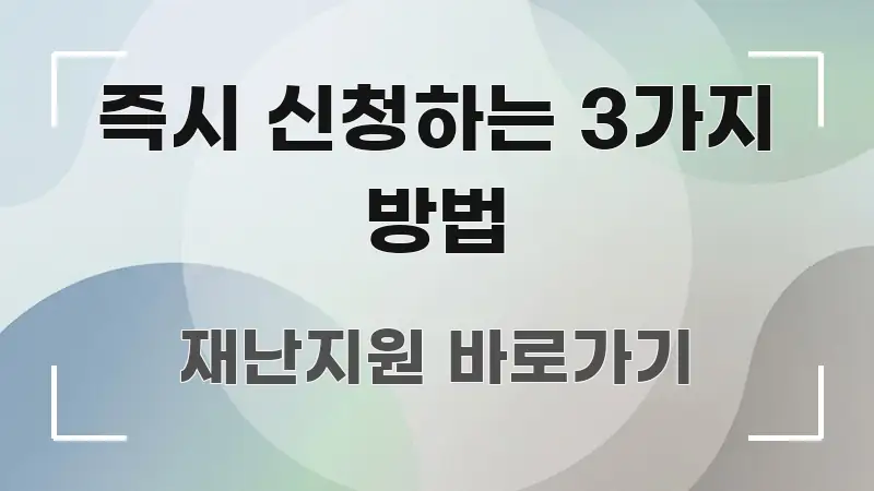 즉시 신청하는 3가지 방법 한 번에 이해되는 깔끔한 인포그래픽 표지 - 독자 이해를 위한 이미지