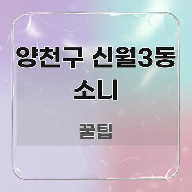 양천구 신월3동 소니 요점만 뽑아낸 텍스트 포스터 이미지 - 내용 요약을 위한 이미지