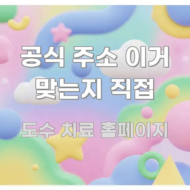공식 주소 이거 맞는지 직접 구조적으로 정리된 깔끔한 인포그래픽 표지 - 글 흐름을 돕는 시각 자료