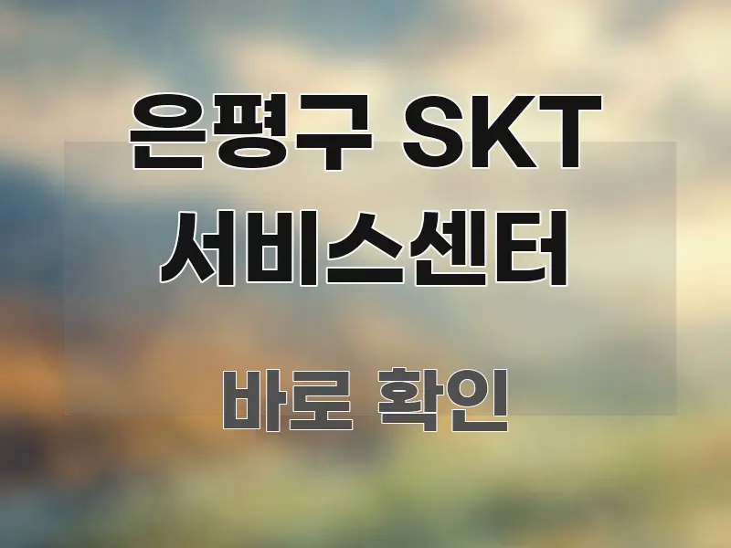 은평구 SKT 서비스센터 꼼꼼하게 정리된 핵심 키워드 시각화 이미지 - 참고용 이미지