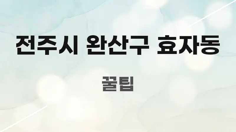 전주시 완산구 효자동 간결하고 명료한 핵심 키워드 시각화 이미지 - 독자 이해를 위한 이미지