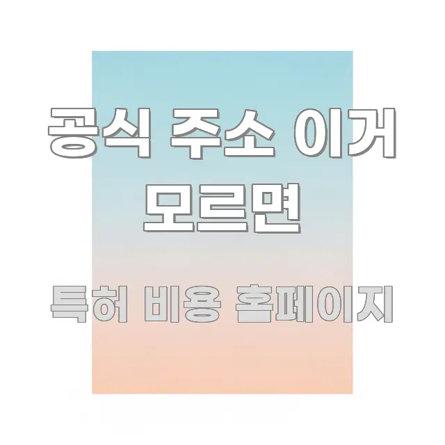 공식 주소 이거 모르면 심플하고 명확하게 정리한 스마트 정보 카드 - 참고용 이미지