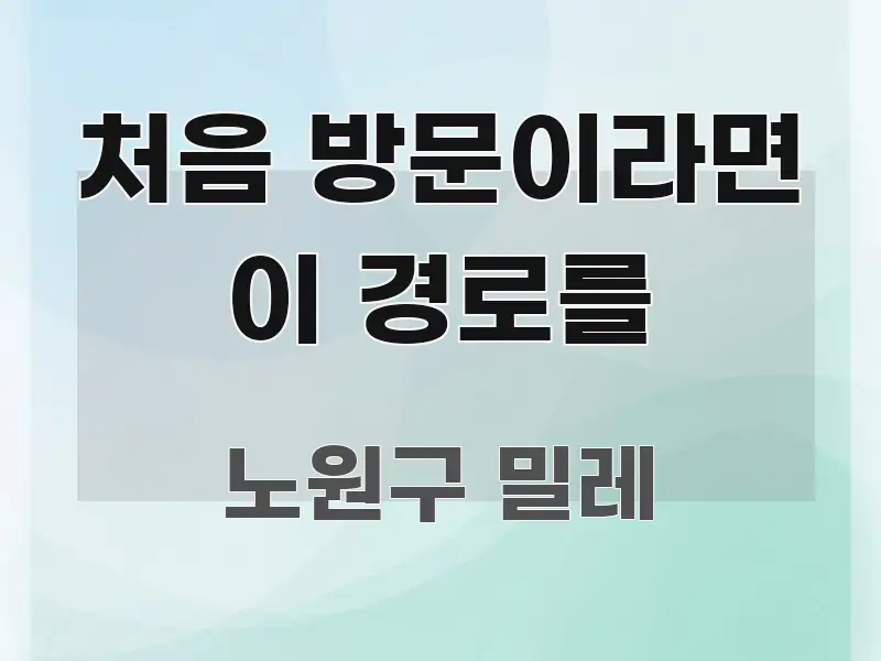 처음 방문이라면 이 경로를 한눈에 보기 좋게 요약한 핵심 정보 비주얼 - 독자 이해를 위한 이미지
