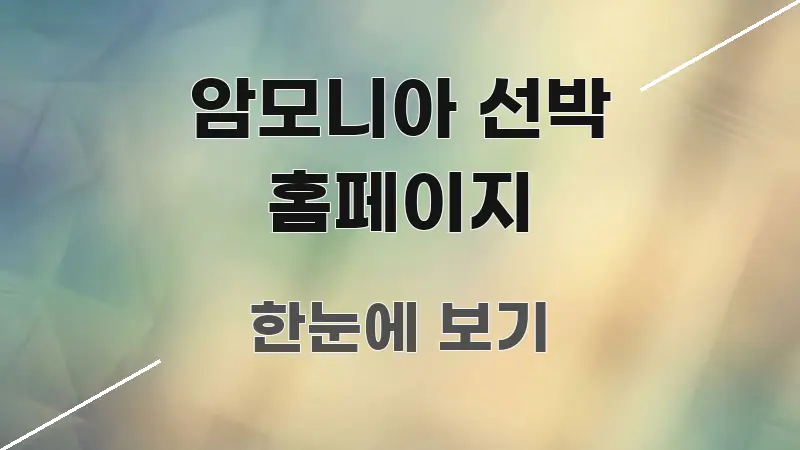 암모니아 선박 홈페이지 꼭 알아야 할 정보를 담은 스마트 정보 카드 - 글 흐름을 돕는 시각 자료