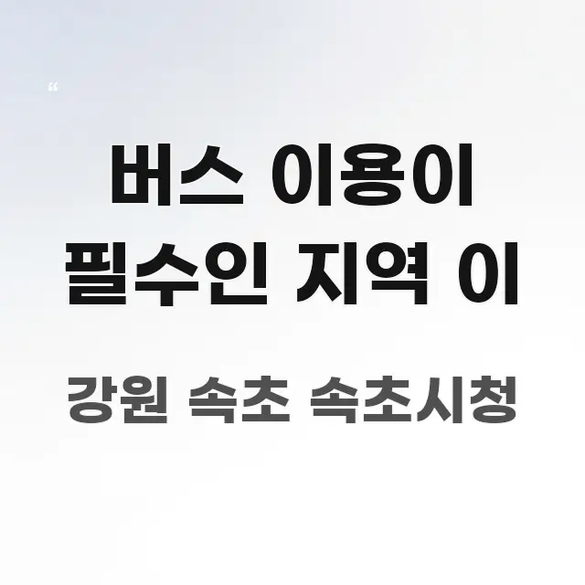 버스 이용이 필수인 지역 이 핵심 요약 버스 이용이 필수인 지역 이 전문가가 선별한 정보 전달형 표지 이미지 - 본문 내용과 연관된 이미지